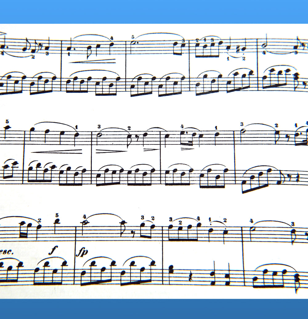 Flute on the Roof - Basic Sheet Music (Digital Download)