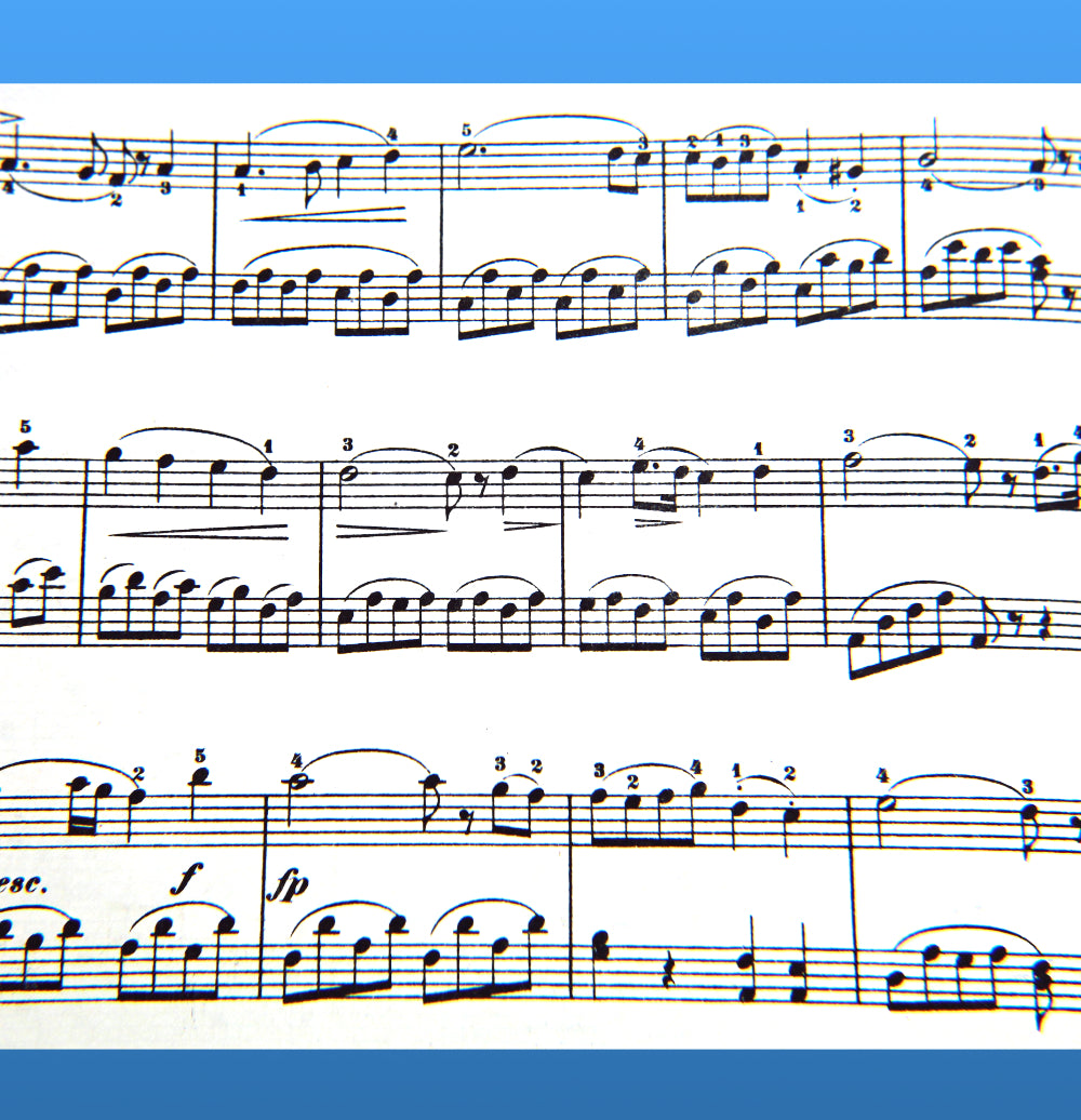 Recorder in the Corner - Basic Sheet Music (Digital Download)